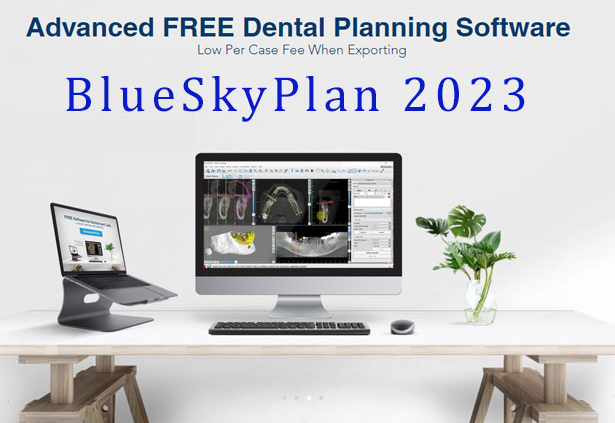 Blue Sky Plan 2024