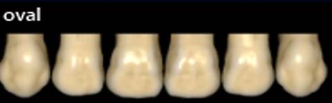 دانلود Ceramill-Mindforms